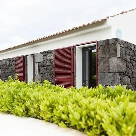 Holiday House In Prainha De Baixo, Pico, Azores Holiday home Prainha (Sao Roque do Pico)